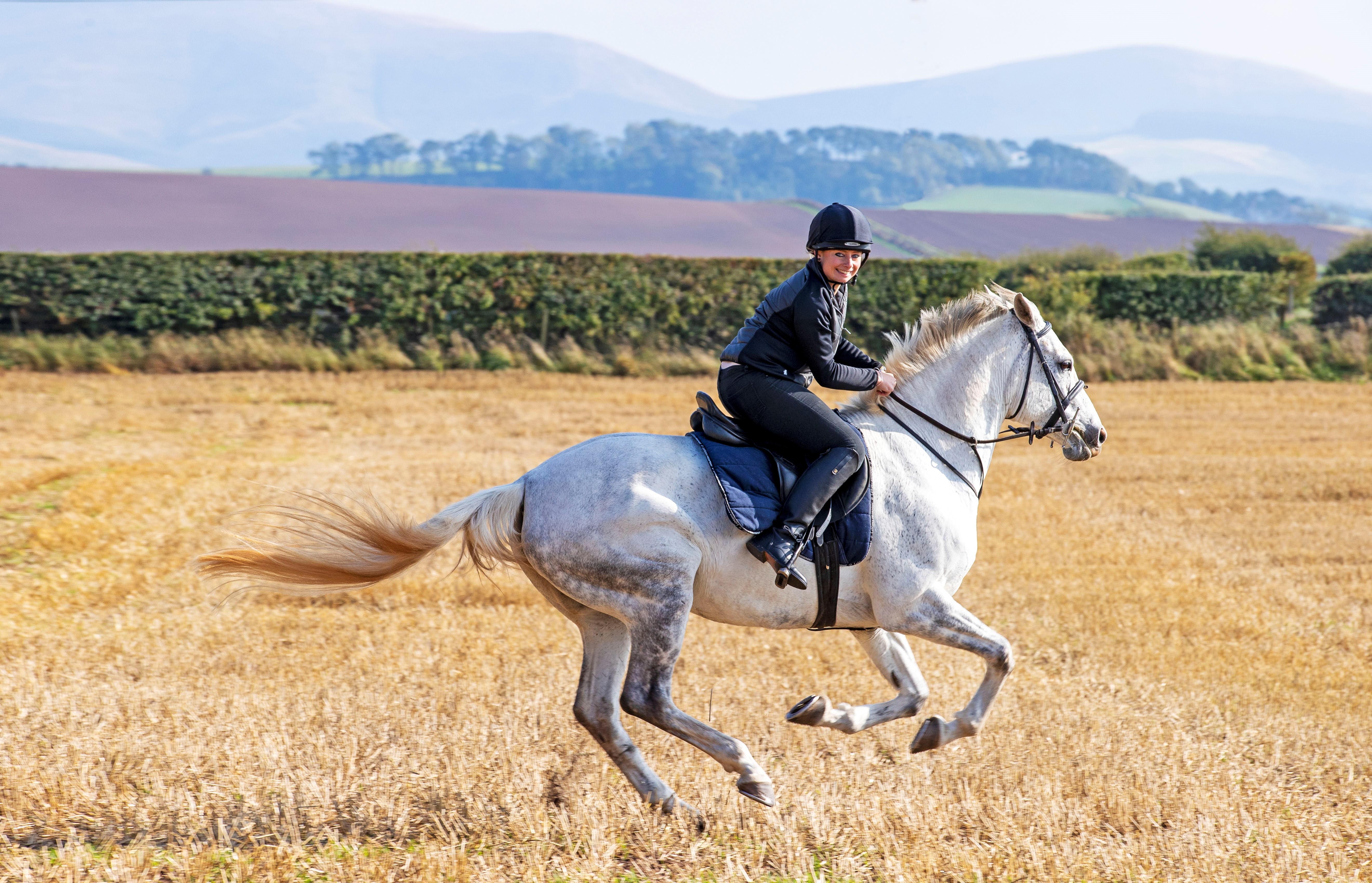 Schloss Roxburghe, Part Of Destination By Hyatt 외부 사진 A rider on a purebred Spanish horse